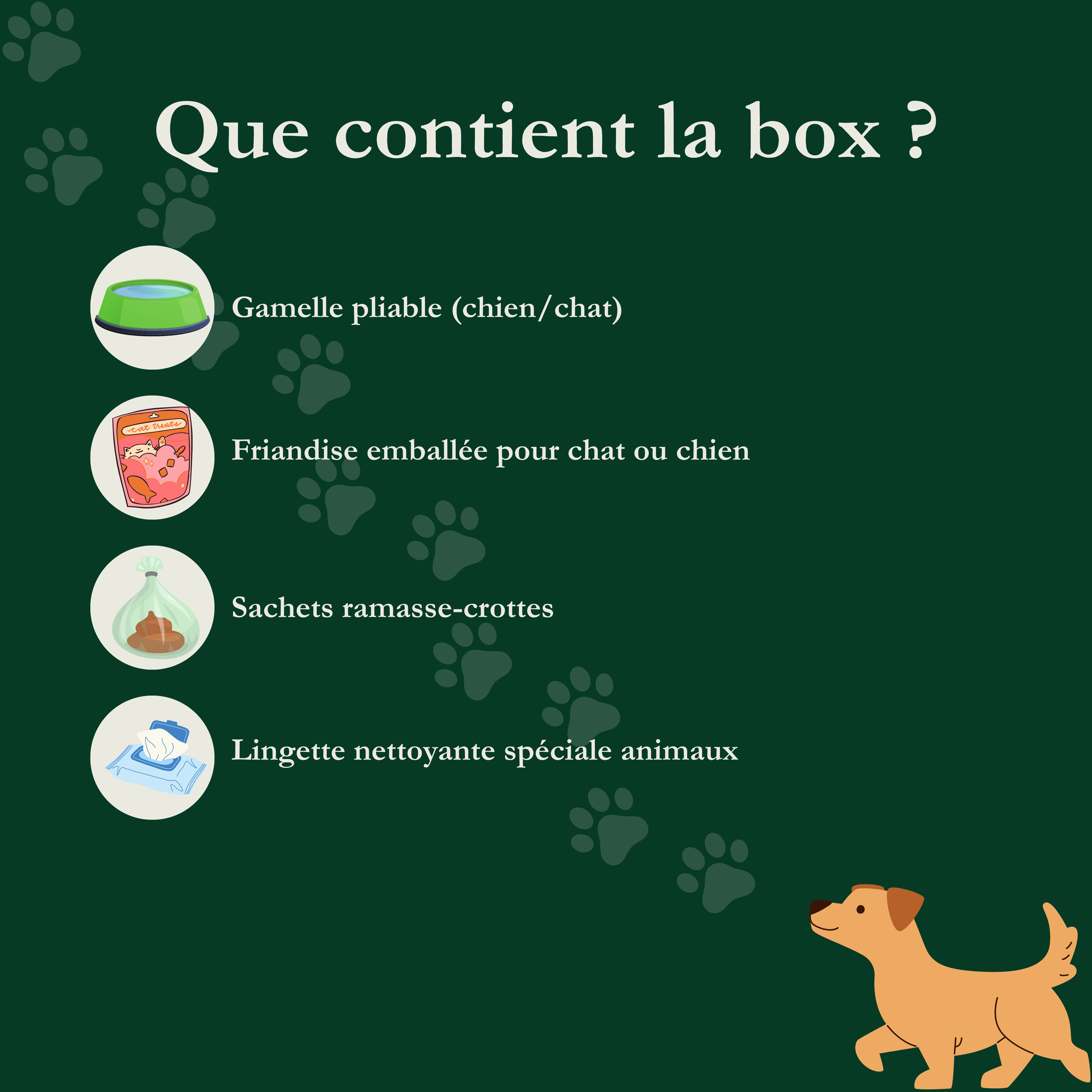StayKit Pet-Friendly – Le kit d’accueil pour voyageurs avec animaux